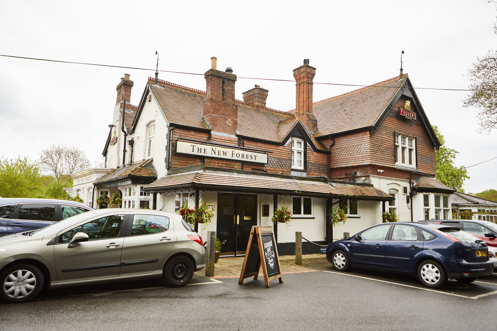 The New Forest Contact The New Forest for a warm superb